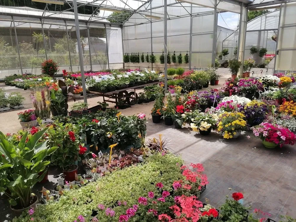 Production horticole à Sainte-Austreberthe